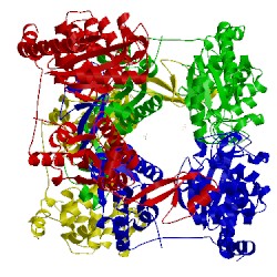 Image of CATH 4x4p