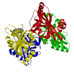 Image of CATH 4x52