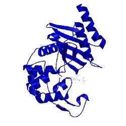 Image of CATH 4x53