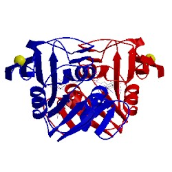 Image of CATH 4x5f