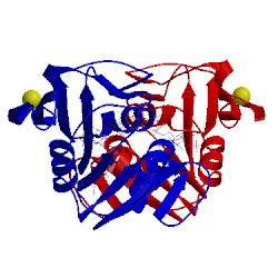 Image of CATH 4x5g