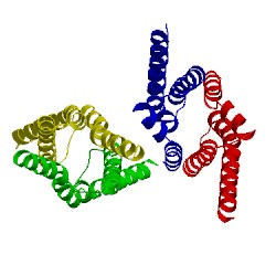 Image of CATH 4x5n