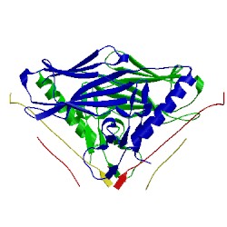 Image of CATH 4x5x