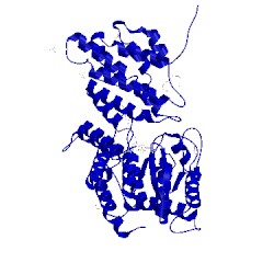 Image of CATH 4x5z