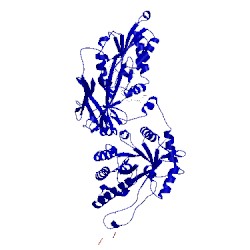 Image of CATH 4x60