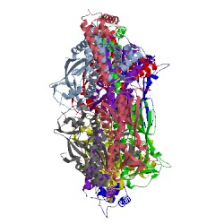 Image of CATH 4x6g