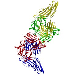 Image of CATH 4x83