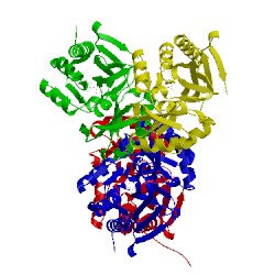 Image of CATH 4x84