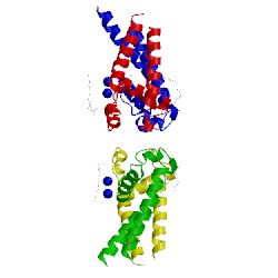 Image of CATH 4x88