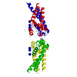 Image of CATH 4x89