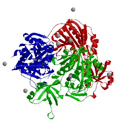 Image of CATH 4x8i