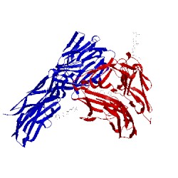 Image of CATH 4x8x
