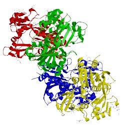 Image of CATH 4x97