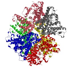 Image of CATH 4x9e