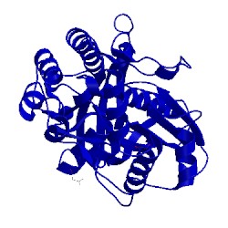 Image of CATH 4x9k