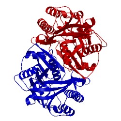 Image of CATH 4x9o