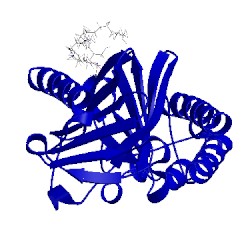 Image of CATH 4x9w