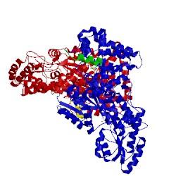 Image of CATH 4xai