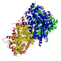 Image of CATH 4xaj