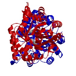 Image of CATH 4xaz