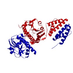 Image of CATH 4xbo