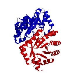 Image of CATH 4xbs