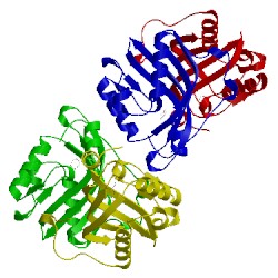 Image of CATH 4xbt