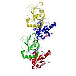 Image of CATH 4xc2