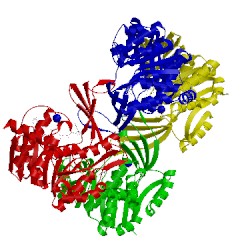 Image of CATH 4xda