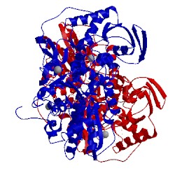 Image of CATH 4xdc