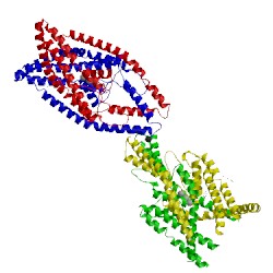 Image of CATH 4xdl
