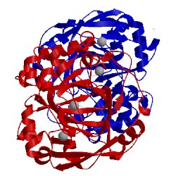 Image of CATH 4xdo