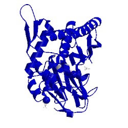 Image of CATH 4xdu