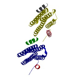 Image of CATH 4xef