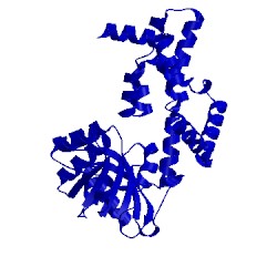 Image of CATH 4xeh