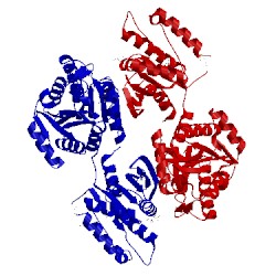 Image of CATH 4xfr