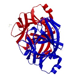 Image of CATH 4xfs