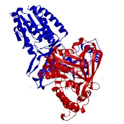 Image of CATH 4xgk