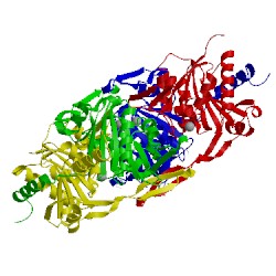 Image of CATH 4xgp