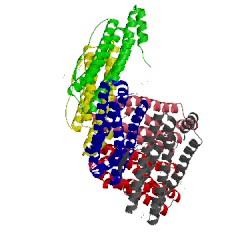 Image of CATH 4xgs