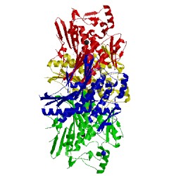 Image of CATH 4xgv