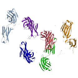 Image of CATH 4xh2