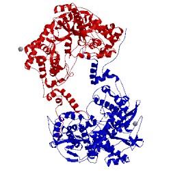 Image of CATH 4xha