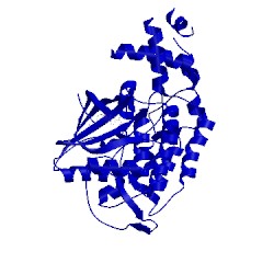 Image of CATH 4xhg