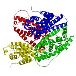 Image of CATH 4xi3