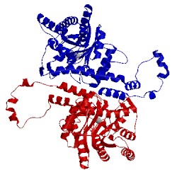 Image of CATH 4xia