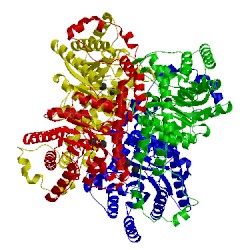 Image of CATH 4xim