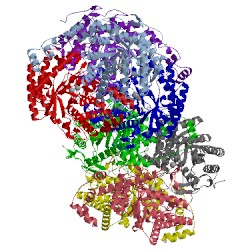 Image of CATH 4xkm