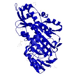 Image of CATH 4xkn