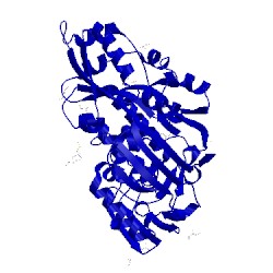 Image of CATH 4xkp